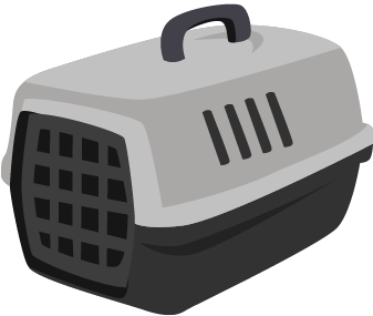 cat carrier for austin vet visits