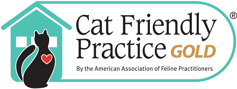 aafp-cat-friendly-practice-4c-spicewood-springs-north-austin-cat-hospital
