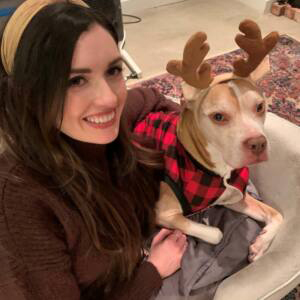 caitlin spicewood springs cat hospital northwest austin feline vet