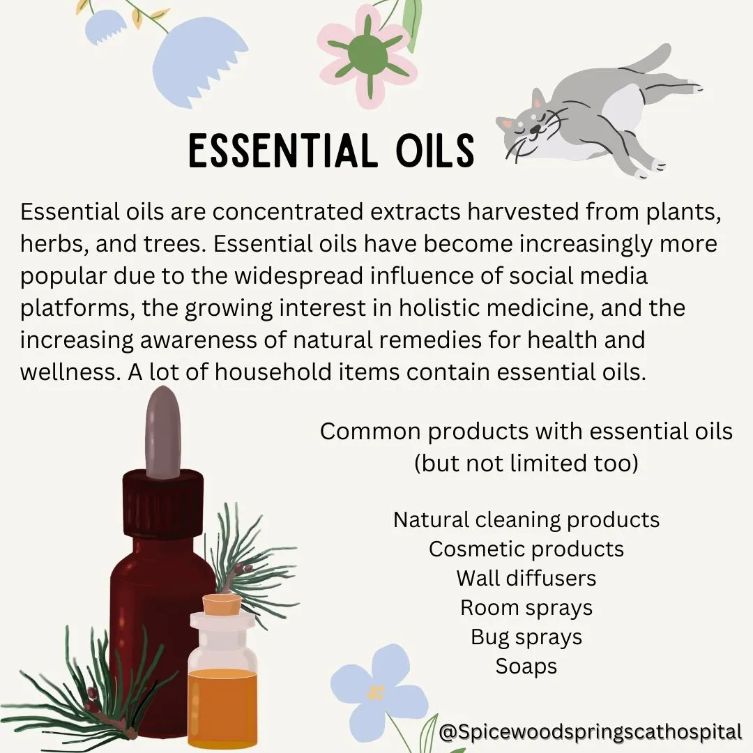 spicewood cat hospital feline northwest austin poison prevention 9